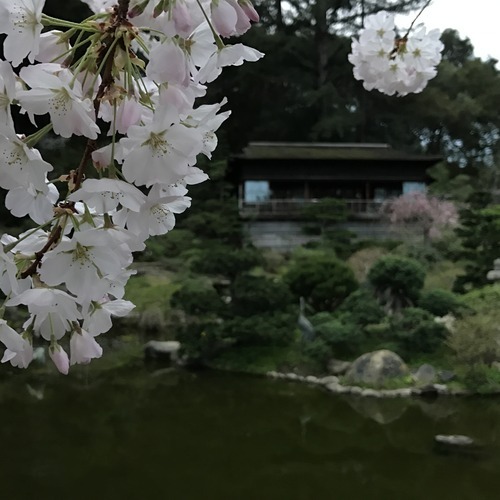 tumblr_onnq13mdlG1tvpigao1_1490926215_cover