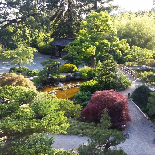 tumblr_oq6esyg43G1tvpigao1_1495157363_cover