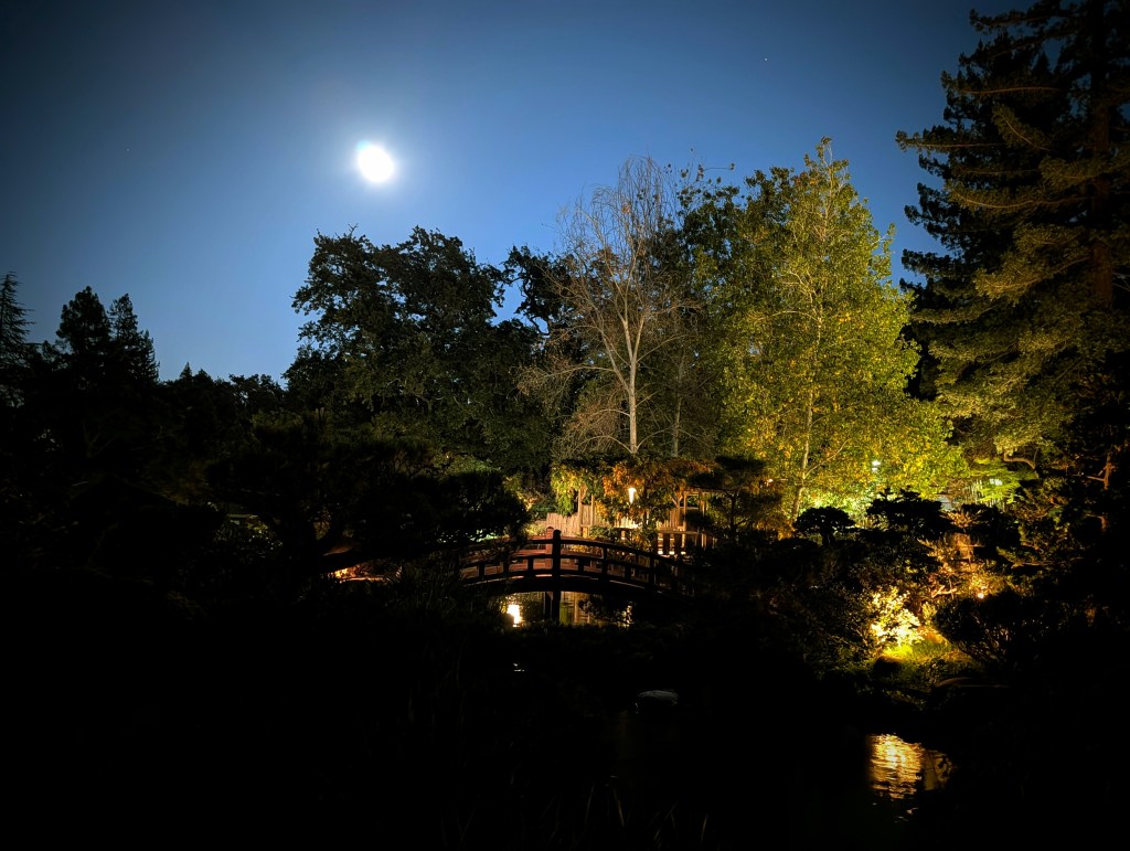 A Reflection on the Enmei Jukku Kannon&nbsp;Gyo