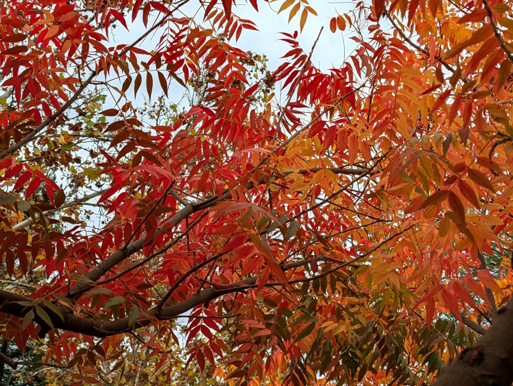 From “Begin to Sit and Breathe” to ‘Try Something&nbsp;New’