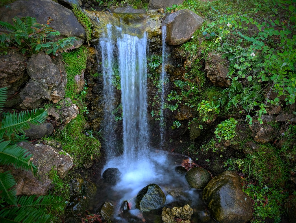 Flowing Water Never Rots: Rediscovering the Beginner’s Mind