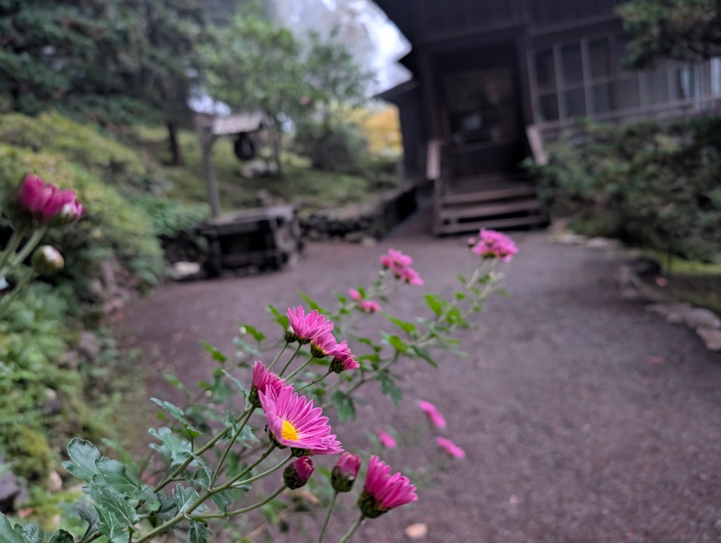 Waking Up to Every&nbsp;Breath