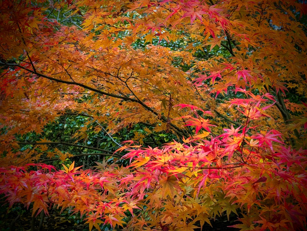 Reflections on Why Buddhism Is True by Robert&nbsp;Wright