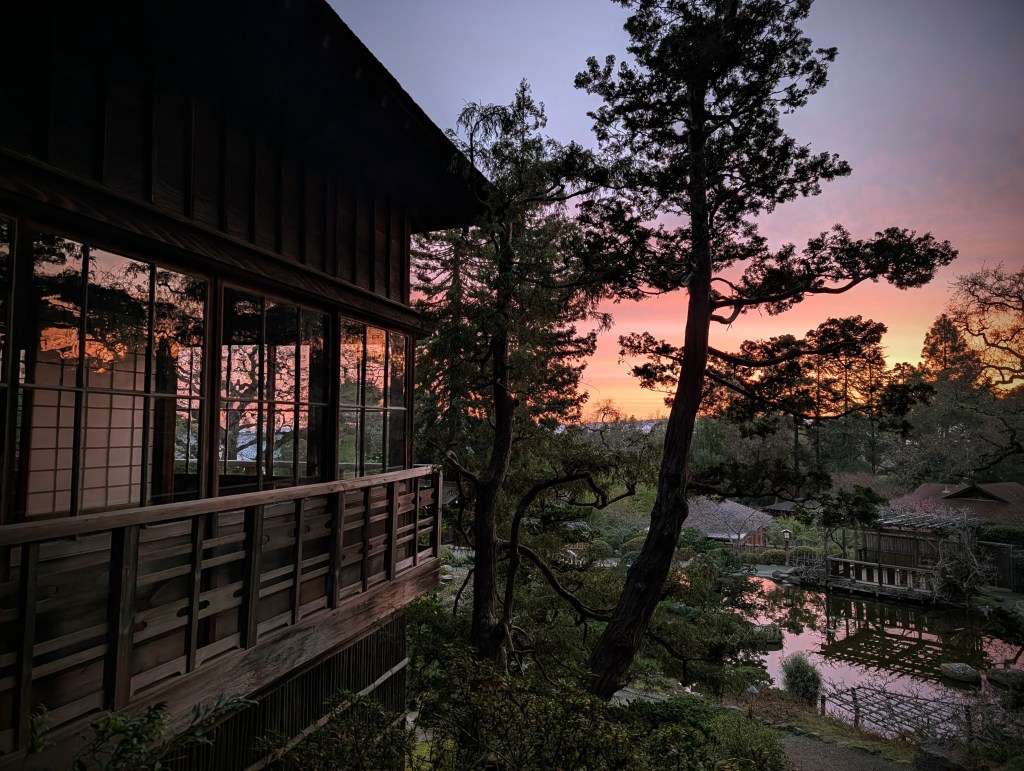 Am I Actually Living, or Am I Just&nbsp;Busy?