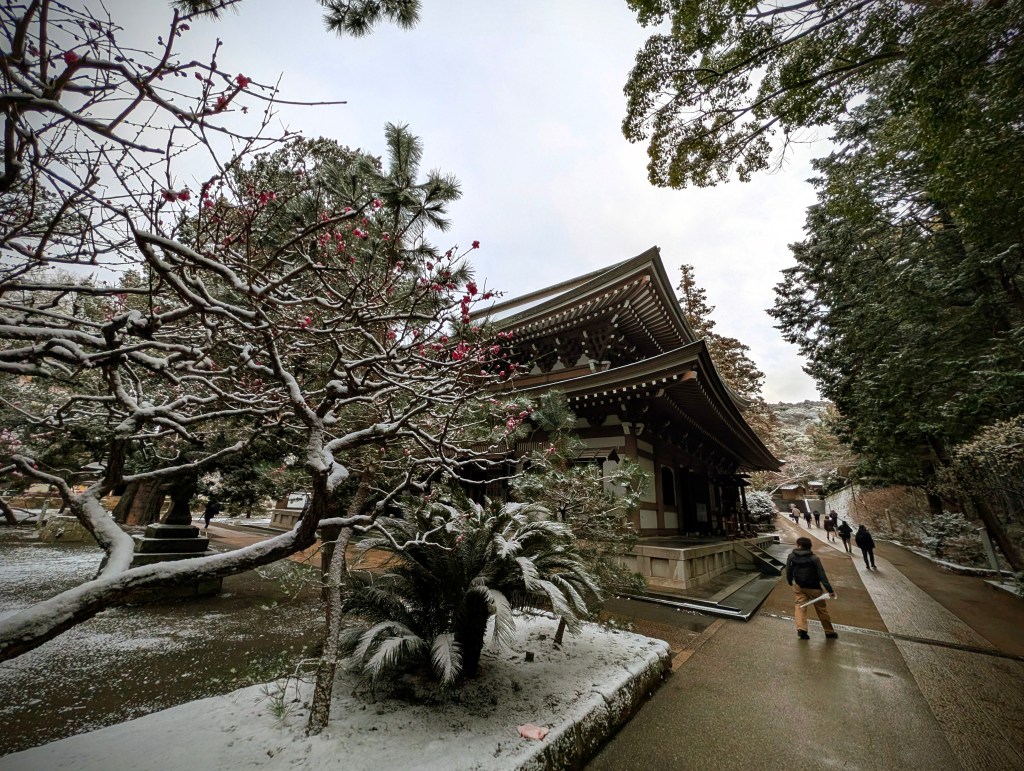 The “Toe Handshake”: A Surprising Secret to Zen Stability