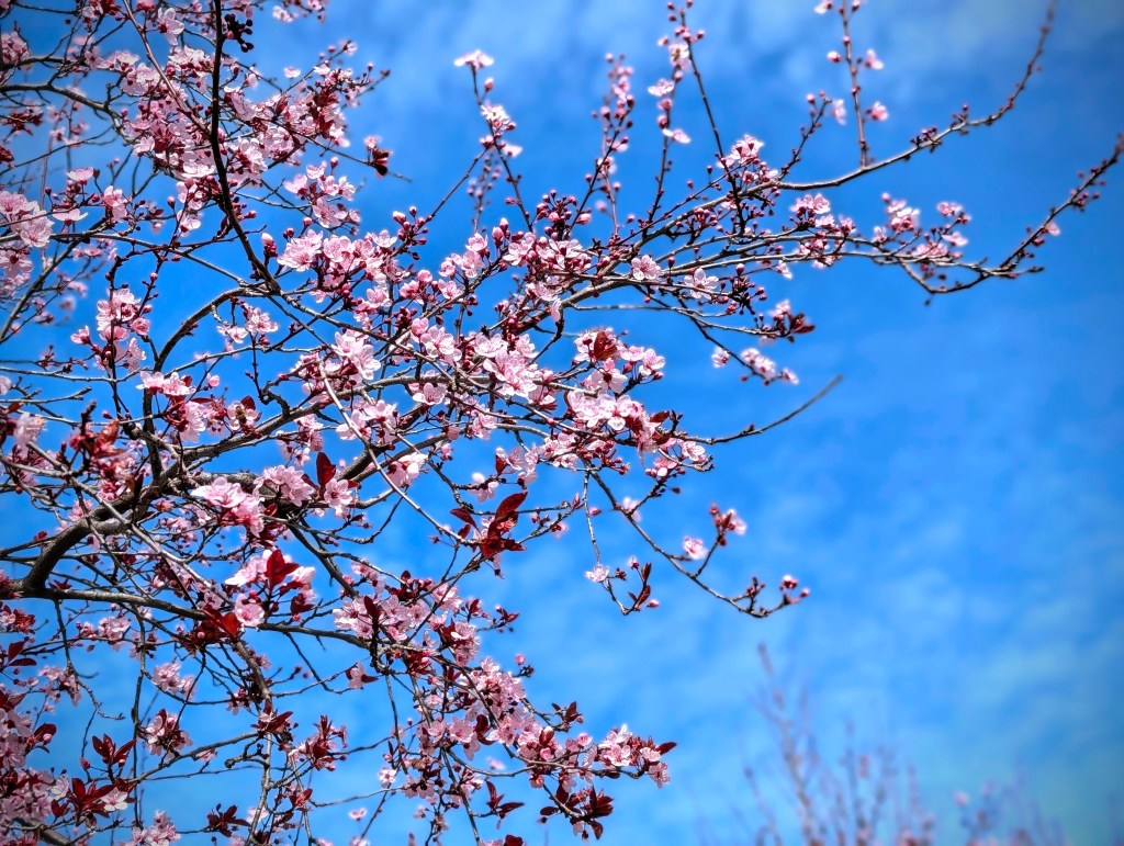 The Sacred Act of Being Bored