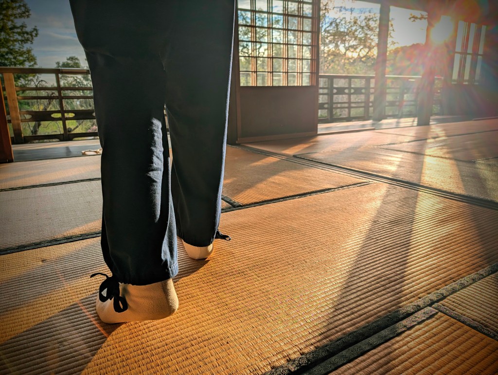 Small Courage, Small&nbsp;Steps