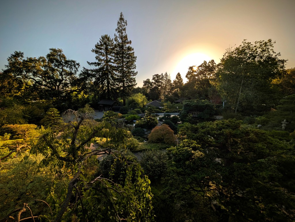 Uncovering Joy: Four Realizations from Sitting at Hakone&nbsp;Gardens