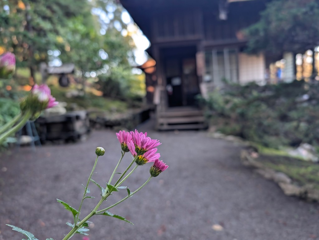 The Bud Within